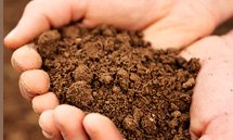 Análises de solos, folhas e insumos agrícolas